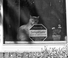 SimpliSafe provides wireless home security monitoring services
