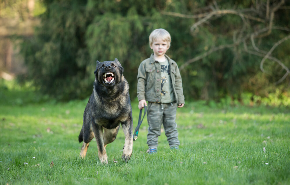 Best Guard Dogs for Families