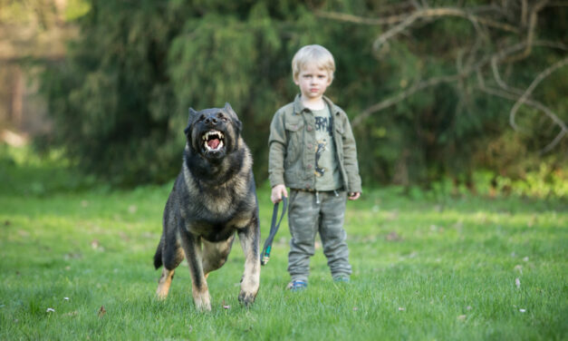 Best Guard Dogs for Families